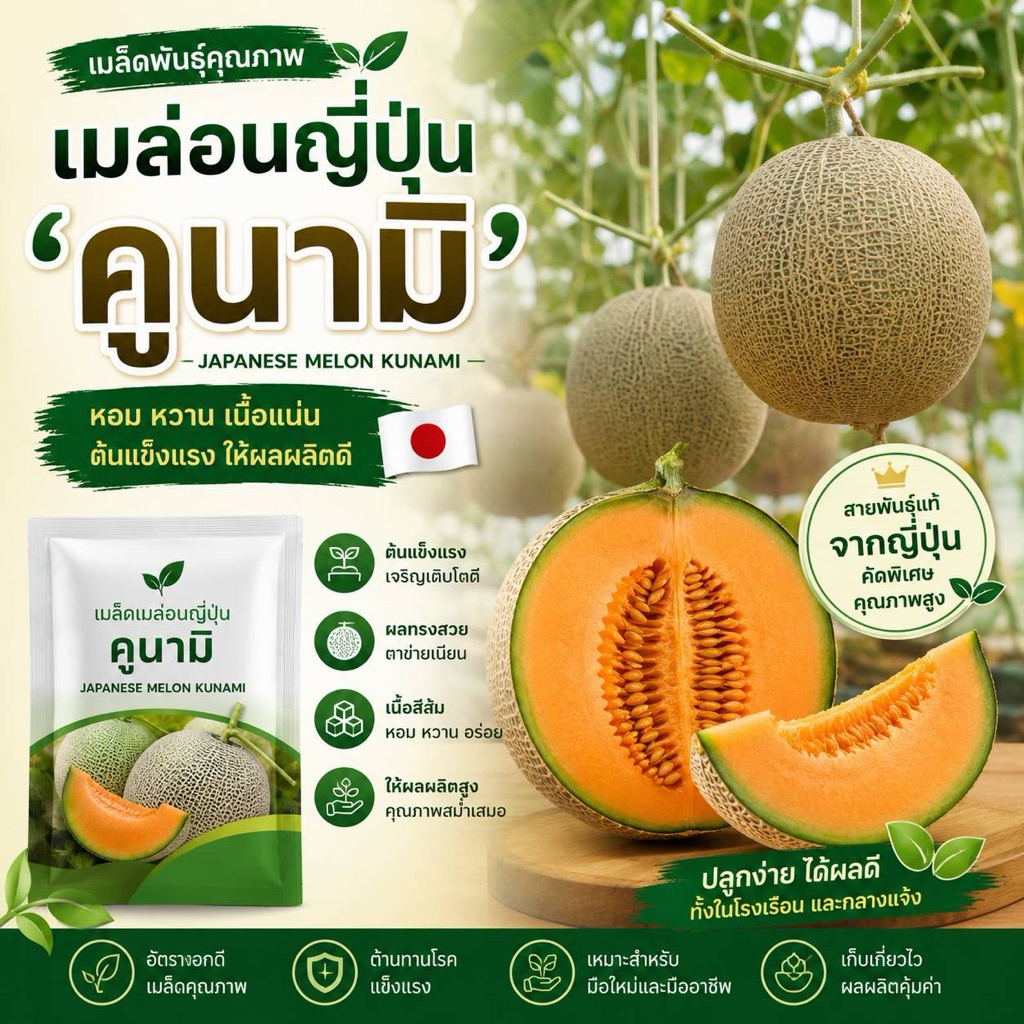 เมล็ดพันธุ์เมล่อน ผิวตาข่ายเนื้อส้ม 20 เมล็ด เมล่อนเนื้อส้ม เมล่อนเนื้อนุ่ม