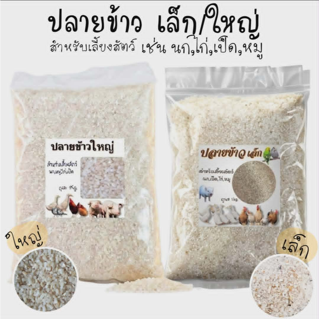 ปลายข้าว ปลายข้าวใหญ่ ปลายข้าวเล็ก อาหารเลี้ยงสัตว์ อาหารเสริมสำหรับนกทุกชนิด และสัตว์อื่นๆ ข้าวใหม่ ถุงละ 1kg