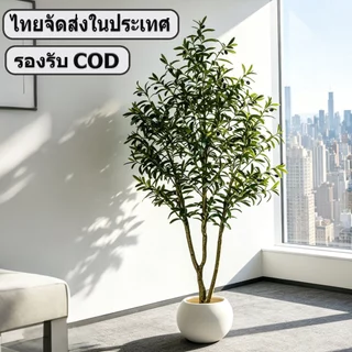 🌿พร้อมส่งจากไทย🌿 ต้นมะกอกปลอม ต้นไม้ปลอม ต้นไม้ปลอมใหญ่ ความจำลอง 99% สำหรับตกแต่งบ้านและสว