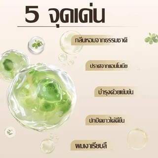 💚สีเขียวมัสตาร์ด👀 STYLE FIT ขนาด 200 มล. ไม่ต้องฟอกสีผม สีติดทนนาน มาพร้อมชุดอุปกรณ์ย้อมผมครบชุด สีย้อมผม ย้อมผม ง่ายต่