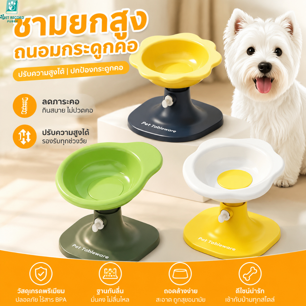 【Pet Record】 ชามอาหารสัตว์เลี้ยง ปรับสูง-เอียงได้ สำหรับแมวสุนัข ป้องกันสำลัก กันลื่น ทนทาน ปลอดภัย
