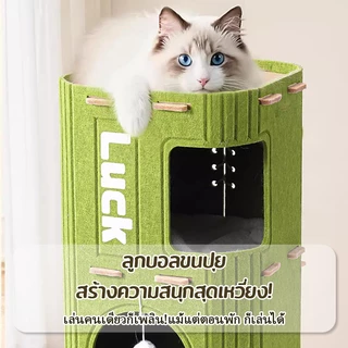 🐱บ้านแมวหลายชั้นหลายฤดูกาลแมวชั้นดีปีนขึ้นไปชั้นหนึ่งด้วยต้นไม้แมว ที่ปิดกั้นกระดานแมวคิตตี้รูต้นไม้โฮม