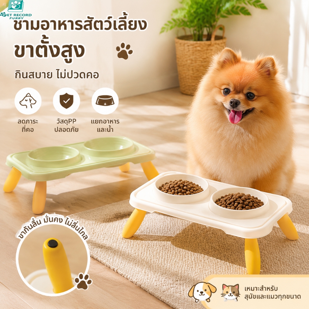 Pet Record ชามอาหารสัตว์เลี้ยงสูง 2 ชาม สำหรับแมวและสุนัข ขาตั้งปรับได้ ป้องกันกราม ป้องกันการลื่น