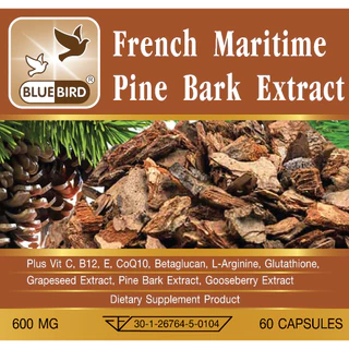 French Maritime Pine Bark Extract Plus สารสกัดจากเปลือกสนฝรั่งเศส ตรา บลูเบิร์ด 600 มก. 60 เม็ด