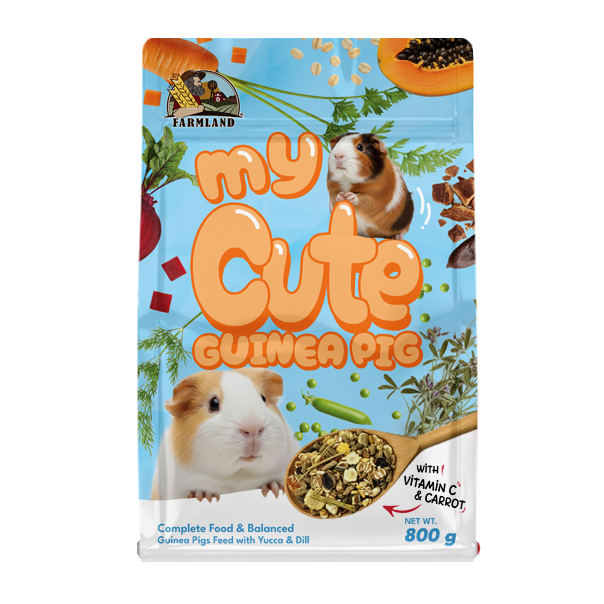 Farmland My Cute Guinea pig
