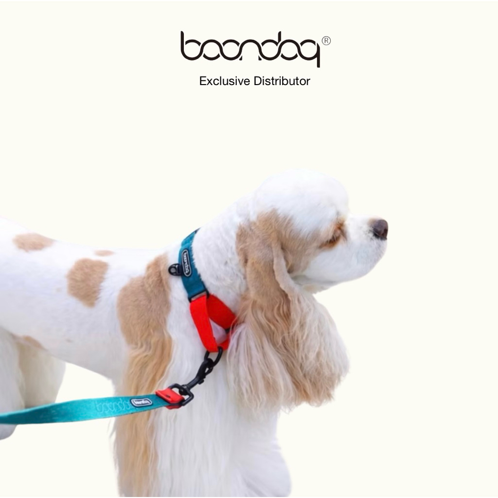 BOONDOG -  Collar ปลอกคอสัตว์เลี้ยง ปลอกคอสุนัข ปลอกคอหมาแมว พร้อมที่แขวนชื่อ ปรับขนาดได้ Dog Collar นำเข้าจากเกาหลี