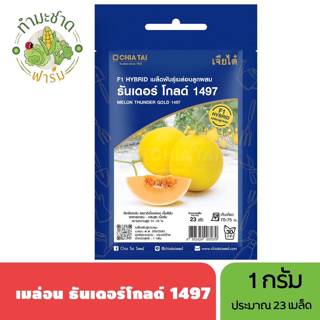 เจียไต๋ (Easy) เมล็ดพันธุ์ เมล่อน ธันเดอร์โกลด์ 1497 ขนาด1กรัม ประมาณ23เมล็ด Melon Thunder Gold เมล่อน เมล็ดพันธุ์พืช