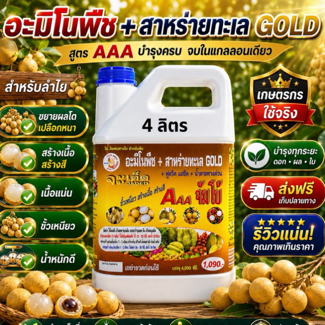3 เอจัมโบ้ ขยายผล  สร้างเนื้อ สร้างสี ฮอร์โมนฉีดพ่นทางใบ
