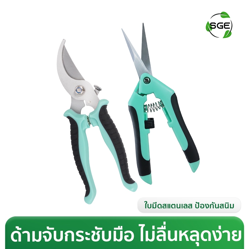 SGE กรรไกรตัดกิ่ง กรรไกรตัดแต่งกิ่ง แบบปากโค้ง ปลายแหลม ขนาด 6.5 นิ้ว -  7 นิ้ว