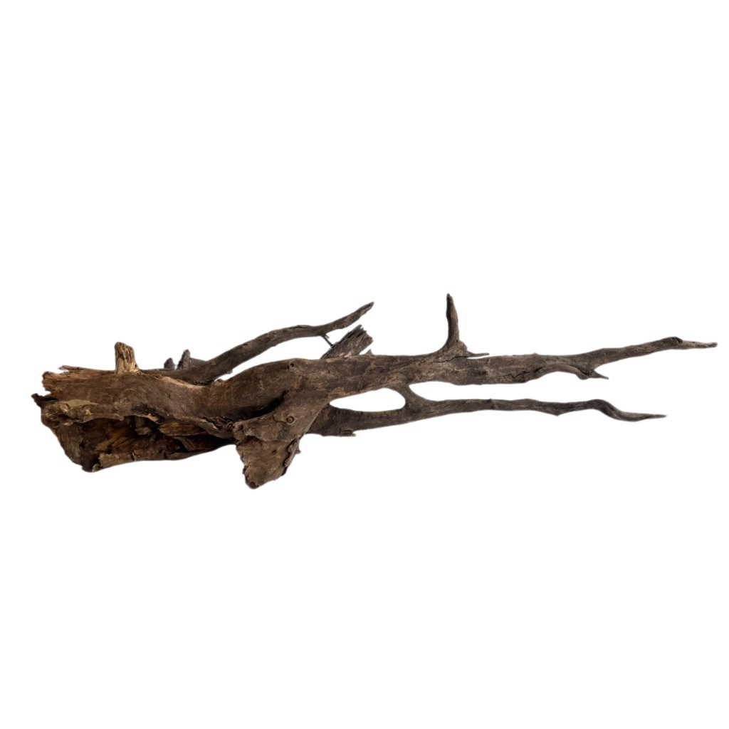 ขอน ราก ตอ ไม้แต่งตู้ปลา นก งู  diy  driftwood สัตว์เลื้อยคลาน