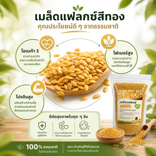 เมล็ดแฟลกซ์สีทอง (Golden Flax Seeds) ออร์แกนิคแท้ คัดพิเศษ โอเมก้า 3 สูง ไฟเบอร์แน่น โปรตีนพืช