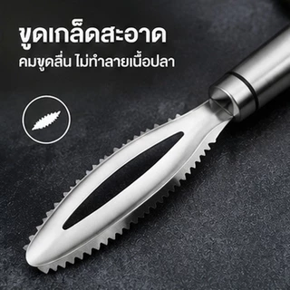 ที่ขูดเกล็ดปลา สแตนเลส 304 คมทนทาน ขูดเกล็ดสะอาด ไม่ทำร้ายเนื้อปลา ล้างง่าย จับถนัดมือ