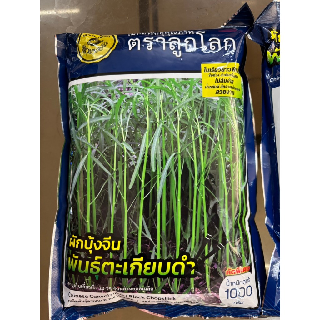 ผักบุ้งจีนตะเกียบดำ  ใบเรียวยาว ใบไผ่  ของใหม่๋ชัวร์  สื้นอายุทำพันธ์  03 / 71