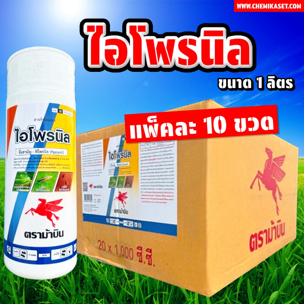 (แพ็ค 10 ขวด) ไอโพรนิล ขนาด 1 ลิตร ฟิโพรนิล5% ตราม้าบิน ใช้กำจัดแมลงต่างๆได้หลายชนิด