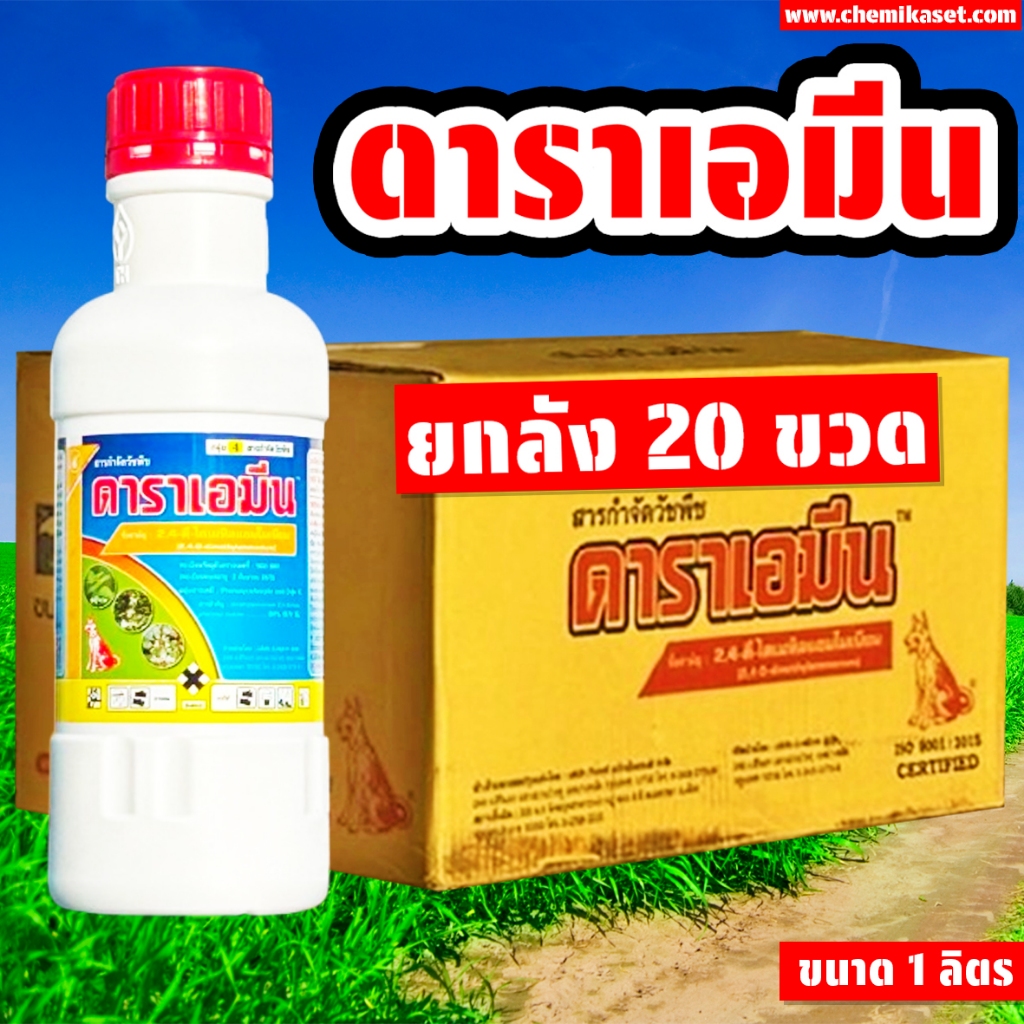 (ยกลัง20ขวด) ดาราเอมีน ขนาด 1 ลิตร ทูโฟร์ดีน้ำตราหมาแดง หมาแดงน้ำ สารกำจัดวัชพืชใบกว้าง