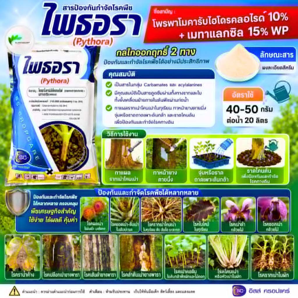 ไพธอรา โพรพาโมคาร์บ ไฮโดรคลอไรด์ + เมทาแลกซิล 🌞 จีโมคาร์บ ใช้ป้องกันกำจัดโรคเน่าดำหรือเน่าเข้าไส้ กล้วยไม้ ทุเร