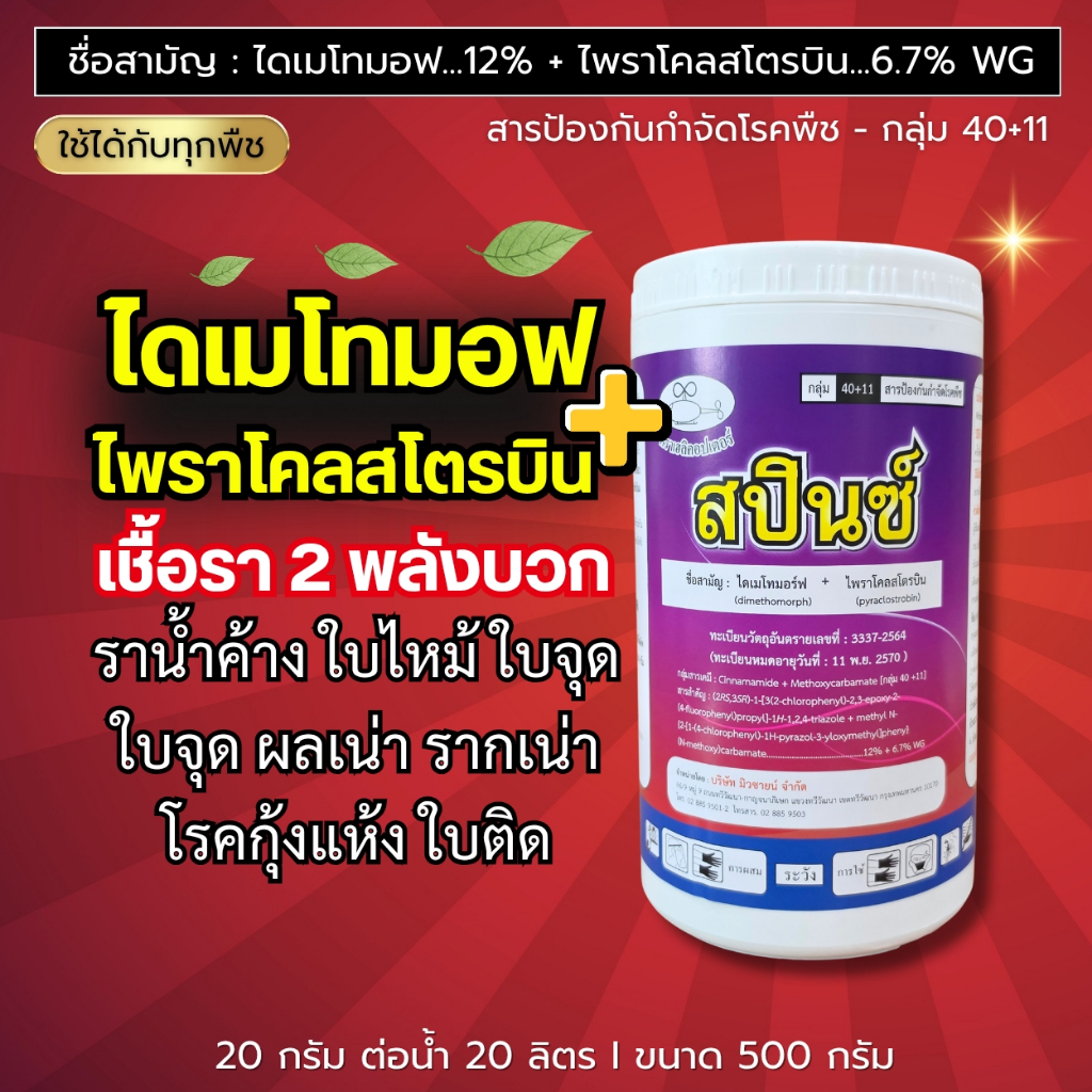 สปินซ์ (ไดเมโทมอร์ฟ + ไพราโคลสโตรบิน) ราน้ำค้าง แอนแทรคโนส รากเน่า โคนเน่า ผลเน่า โรคเถาแตก ใบไหม้ ใบจุด โรคกุ้งแห้ง