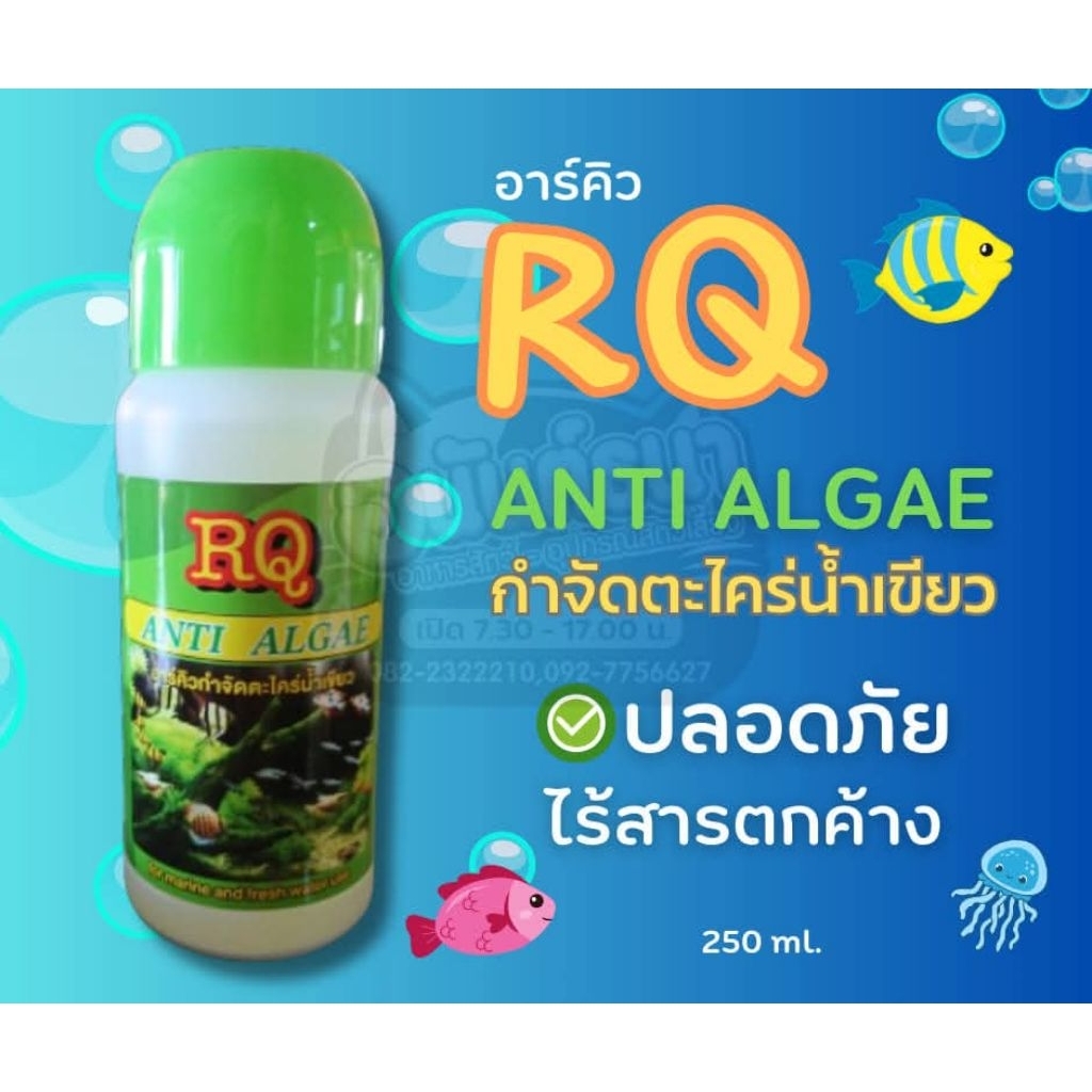 น้ำยากำจัดตะไคร่น้ำเขียว RQ อาร์คิว Anti Algae 250 ml.