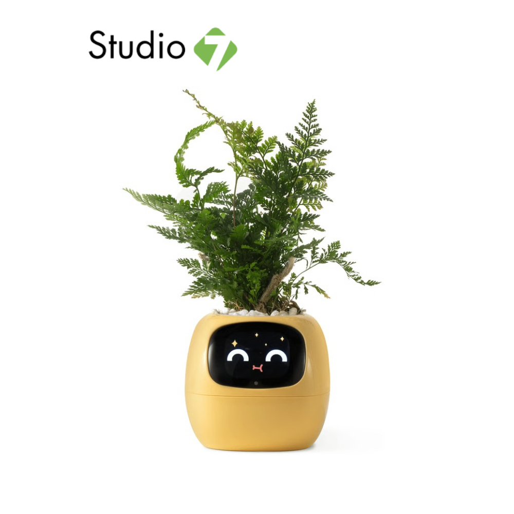 กระถางต้นไม้ PlantsIO Ivy Gen 2 Smart Planter by Studio7
