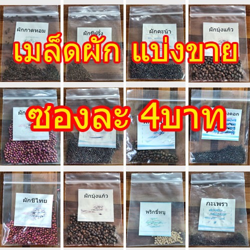 (ถูกที่สุด) เมล็ดพันธุ์ผัก-แบ่งขาย- ซองละ4บาท (10ซอง แถมฟรี3ซอง) หลากหลายชนิด