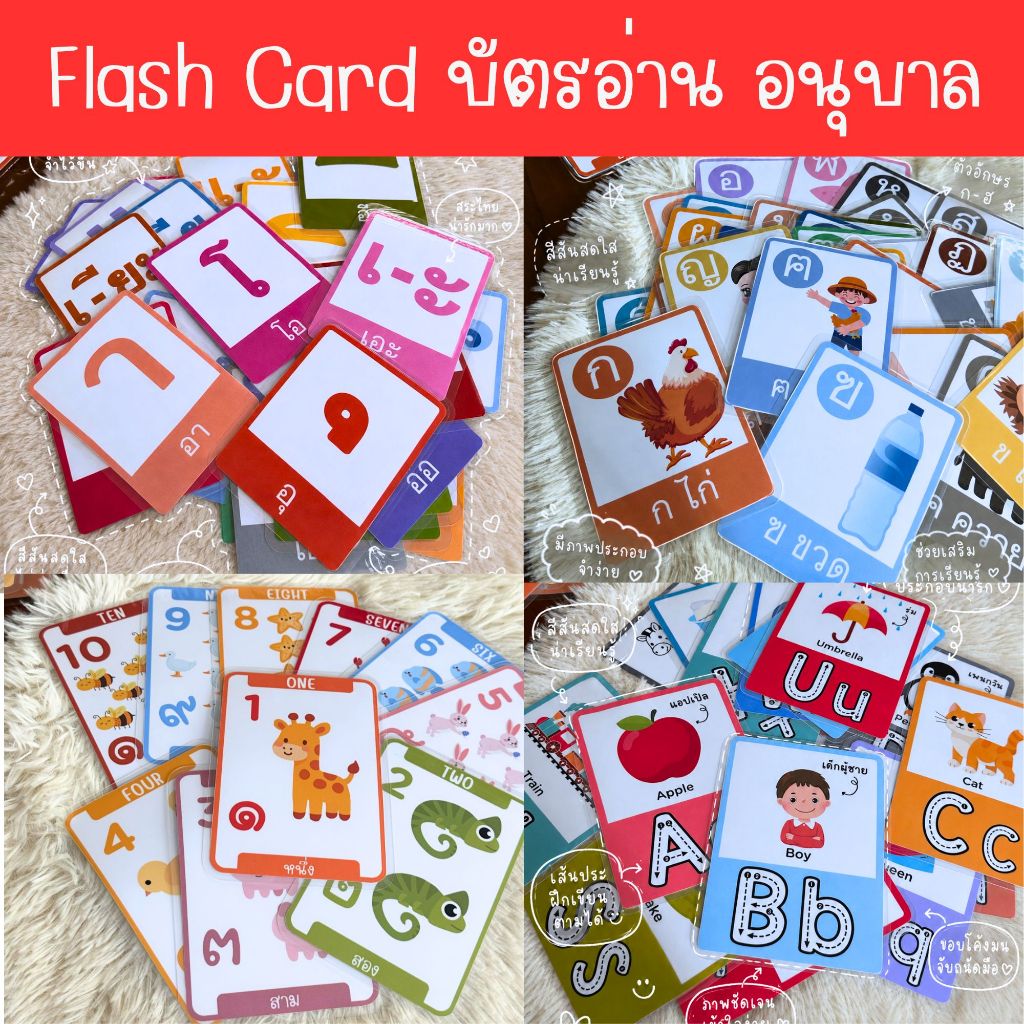 [ขายดี] Flash card สื่อการสอน สื่อการสอนคุณครู แฟลชการ์ด บัตรอ่าน การ์ดคำศัพท์