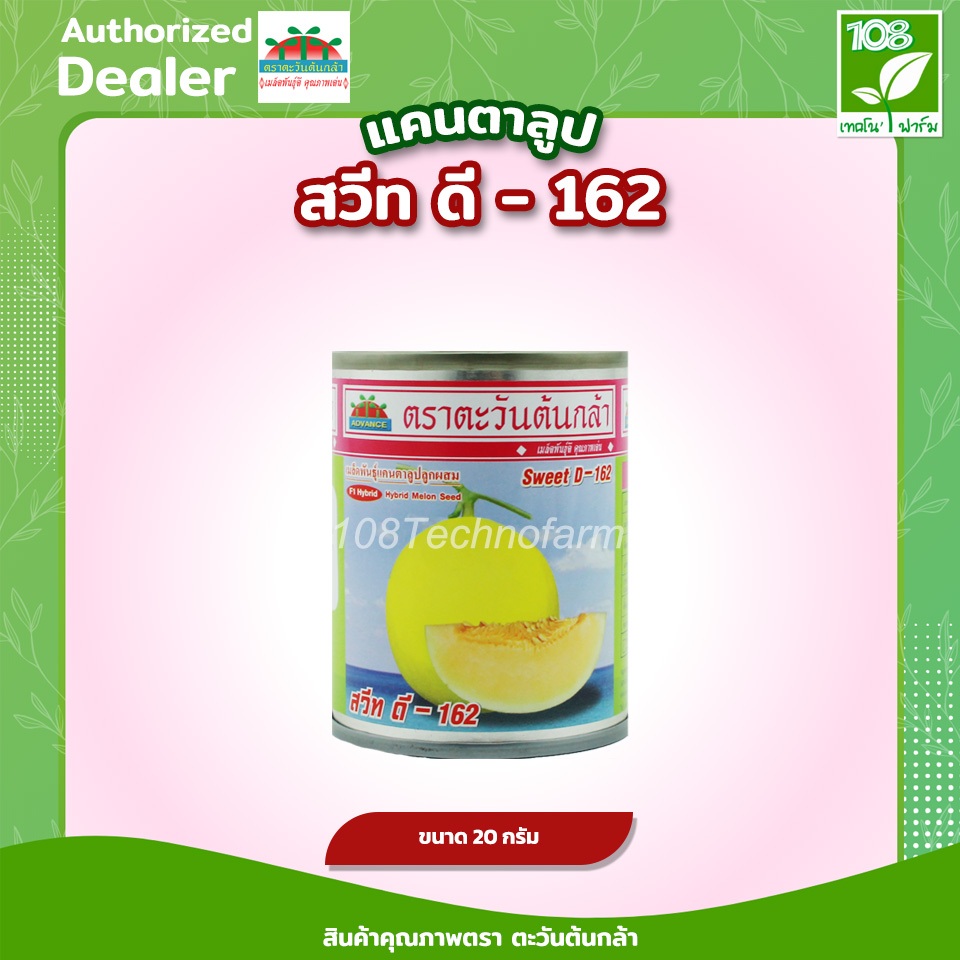 เมล็ดพันธุ์ แคนตาลูป สวีท ดี -162 ตรา ตะวันต้นกล้า ( 20 กรัม )