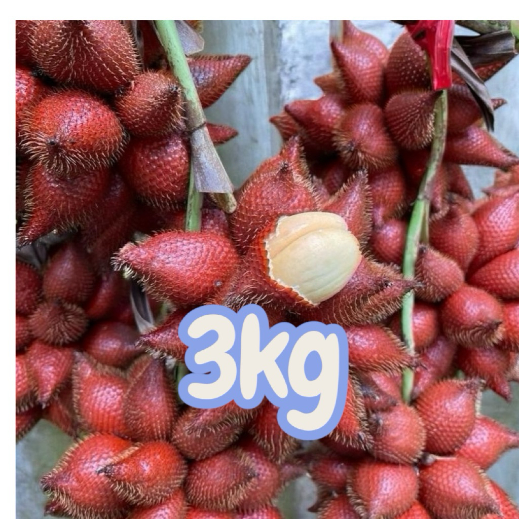 🛑สละสุมาลี  3 kg หวาน (อ่านรายละเอียดรูป2ก่อนสั่งซื้อนะคะ)