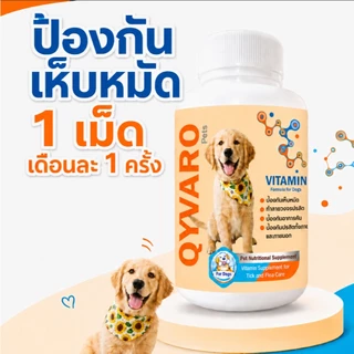 Qyvaro เสริมอาหารสุนัข ป้องกันเห็บ หมัด ปรสิตภายใน บำรุงสุขภาพสุนัข