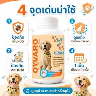 Qyvaro เสริมอาหารสุนัข ป้องกันเห็บ หมัด ปรสิตภายใน บำรุงสุขภาพสุนัข