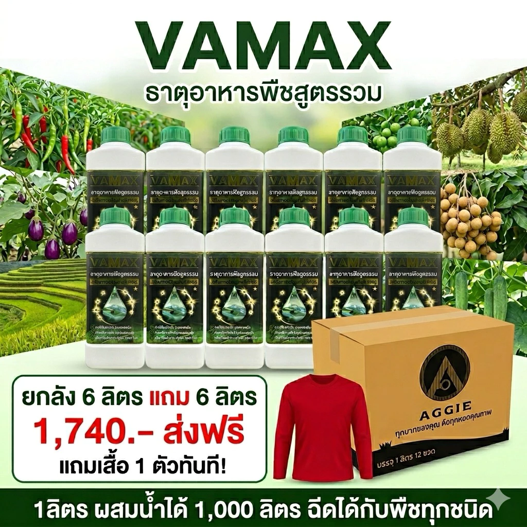 ธาตุอาหารพืชสูตรรวม ธาตุรวม VAMAX 1 ลัง 12 ลิตร แถมเสื้อ 1 ตัว (V12+เสื้อ)