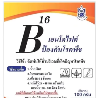 Am / AM90 / B16 เอนโดไฟต์ แท้ จากผู้ผลิต [แพ็คเกจใหม่ ชื่อ AM จุลินทรีย์ยอดขยัน] ไมคอไรซ่า หัวเชื้อจาวปลวก ดับกลิ่น ปุ๋ย