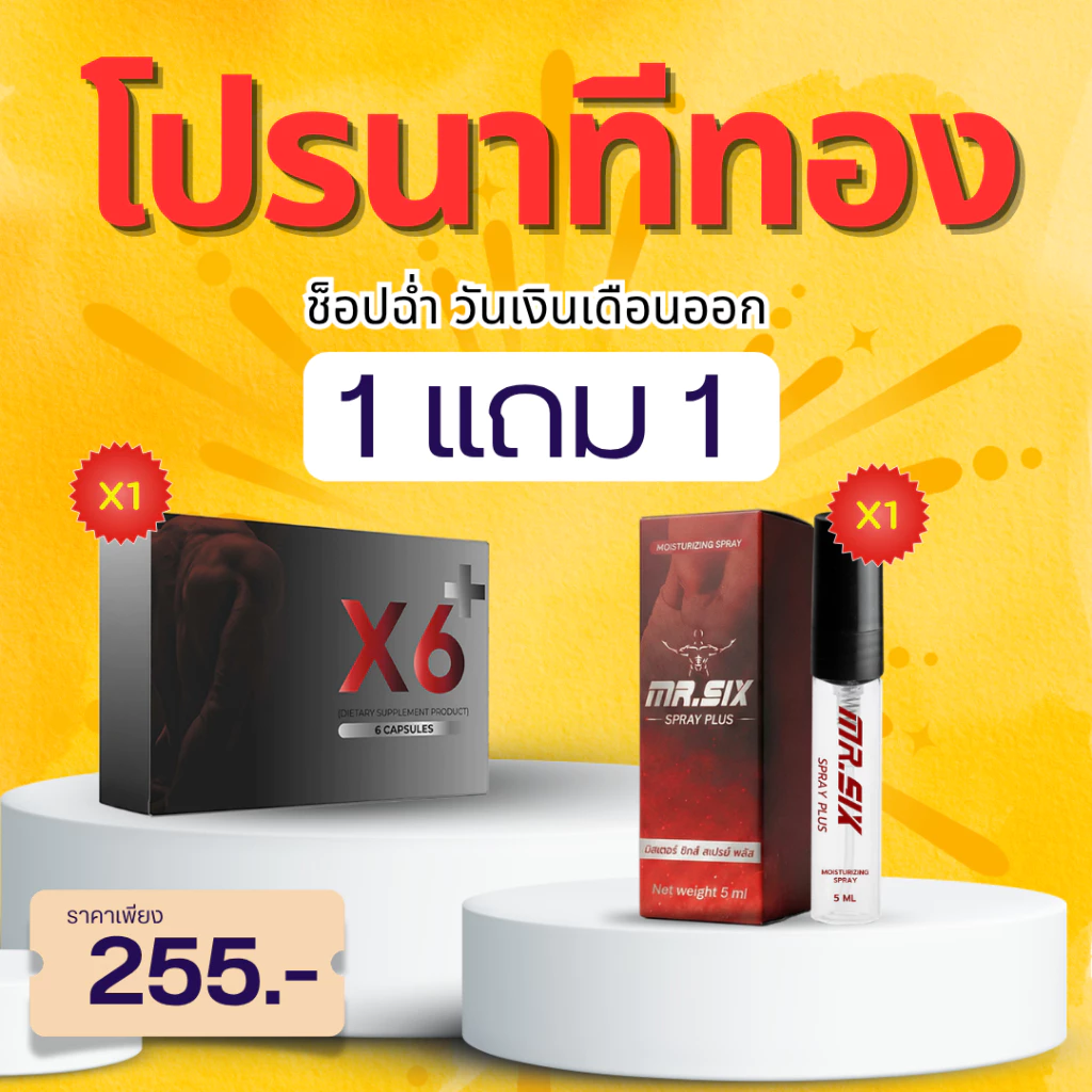 โปรนาทีทอง X6 X Mister Six Spray