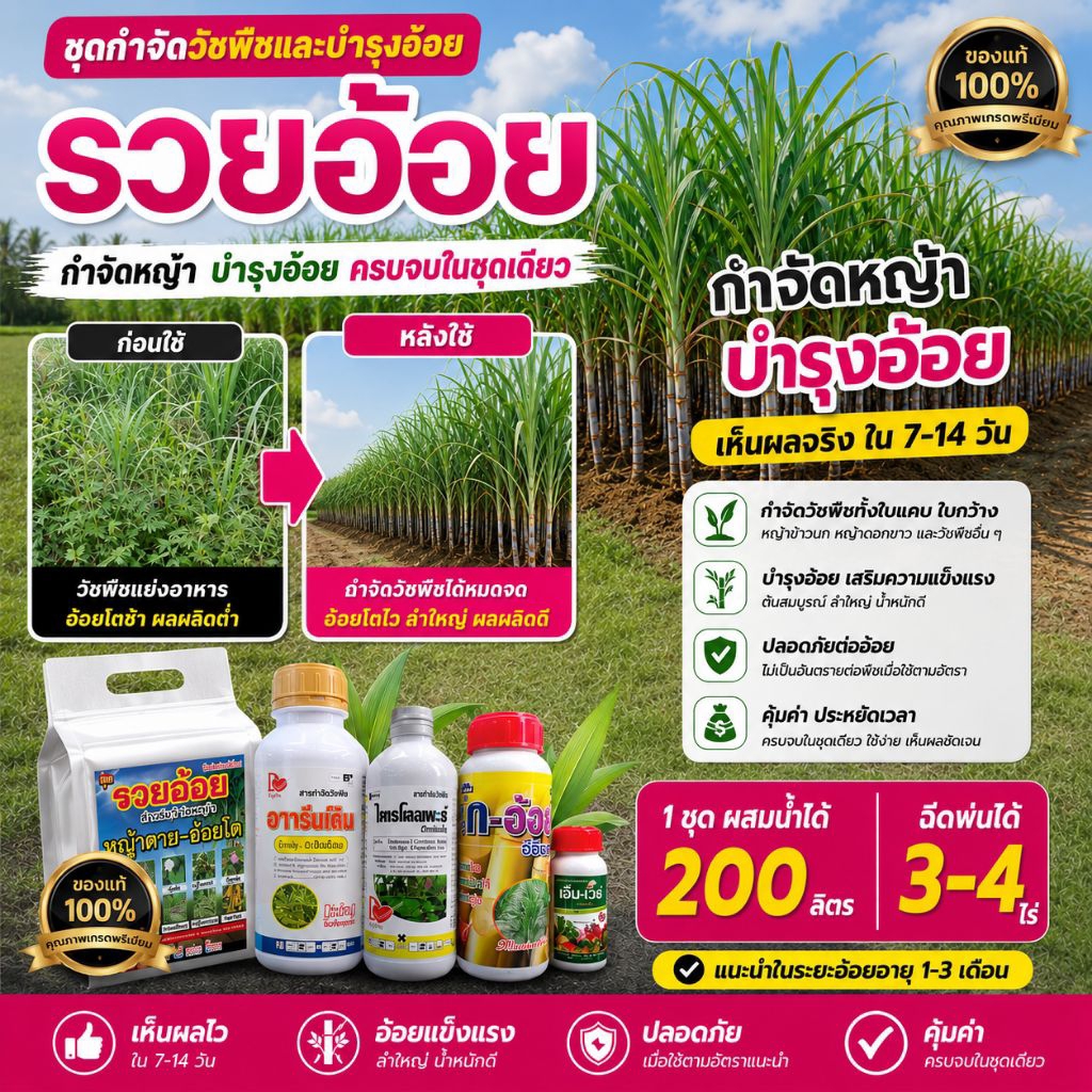 รวยอ้อย ชุดกำจัดวัชพืช-บำรุงอ้อยครบจบในชุดเดียวทั้งคุมหญ้า+บำรุงอ้อยกำจัดวัชพืชทั้งใบแคบใบกว้าง อ้อยลำใหญ่ น้ำหนักดี