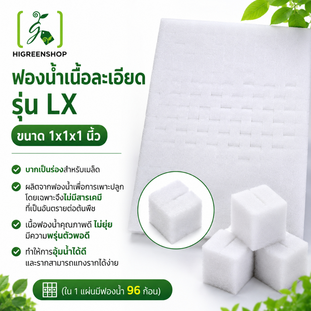 ฟองน้ำเพาะเมล็ด ฟองน้ำเนื้อละเอียด รุ่น LX ขนาด1x1x1 นิ้ว 10 แผ่น/ห่อ