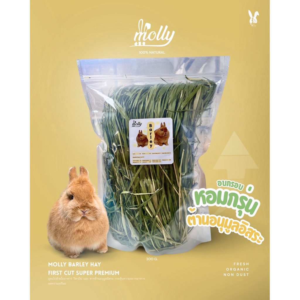 หญ้า  Barley hay แบบอบสดใหม่ เขียวๆหอมๆ
