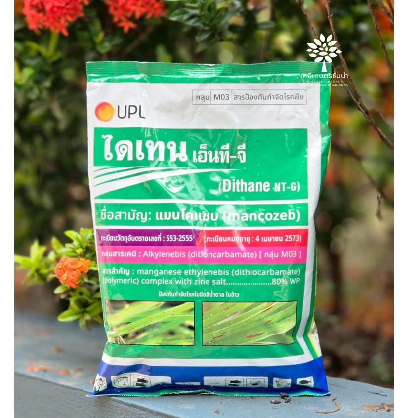 ไดเทน เอ็นที จี ขนาด 1 กิโลกรัม -แมนโคเซบ 80% WP (สีเขียว) UPL - สารป้องกันกำจัดโรคพืช - ✅ สินค้าผลิตใหม่ ของแท้แน่นอน 💯