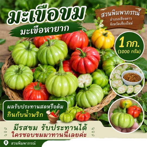 มะเขือขม สด ใหม่ มะเขือ 1 กก จิ้มน้ำพริกอร่อย ส่งทุกวันศุกร์