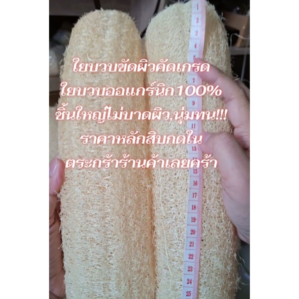 ใยบวบขัดตัว1แถม1มาจากธรรมชาติ100%ชุดสุดคุ้ม