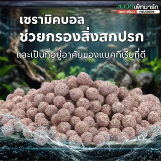 Bio Sponge Filter กรองฟองน้ำคุณภาพสูง ช่วยดักจับของเสีย และเป็นที่อยู่ของแบคทีเรียดี ใช้กับปั้มลม