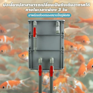 กล่องกรองตู้ปลา กล่องกรองน้ำ 2/3 ชั้น วัสดุ PE หนา กรองน้ำใส เพิ่มออกซิเจน ลดการเปลี่ยนน้ำ ใช้ได้กับตู้ปลาและบ่อปลา