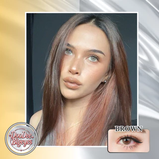 (Official) คอนแทคเลนส์รายเดือน We Wink รุ่น Zinnia สี Brown / Gray มีค่าสายตา แถมตลับคอนแทคเลนส์