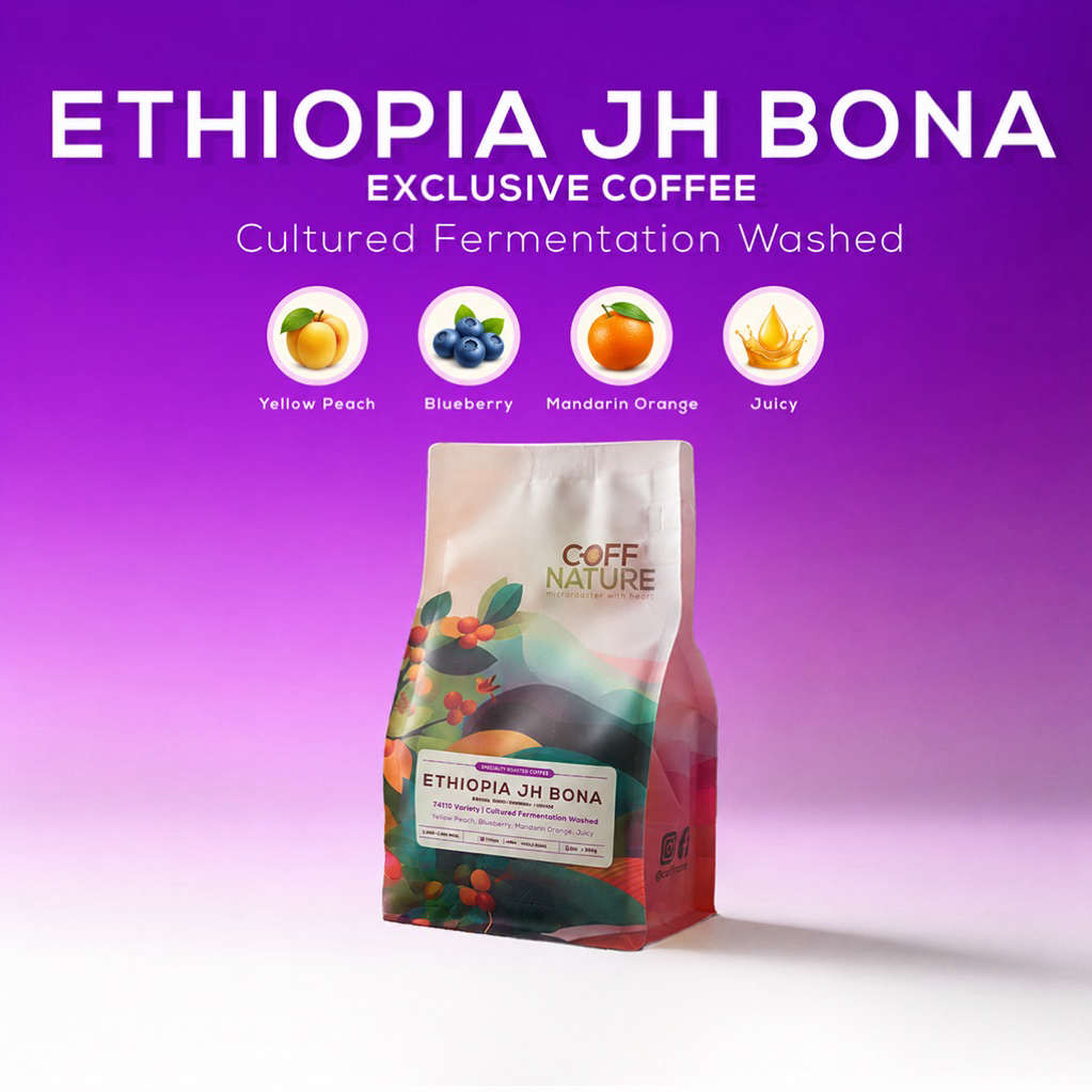 [ Premium ] กาแฟคั่วอ่อน Ethiopia Bona JH | 74110 | Cultured Fermentation Washed | Filters Roast