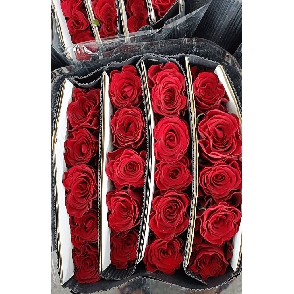 [ สินค้าพร้อมจัดส่งด่วน ] กุหลาบดอกใหญ่ ขนาด 1 กำ / 20 ดอก
