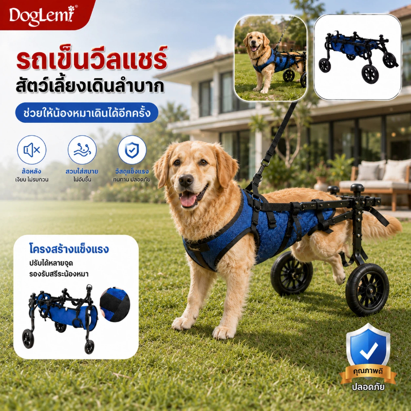 Doglemi รถเข็นสุนัข รถช่วยเดินสุนัขพิการ อุปกรณ์ช่วยพยุงขาหลัง ปรับขนาดได้ สำหรับสัตว์เลี้ยงเดินลำบาก
