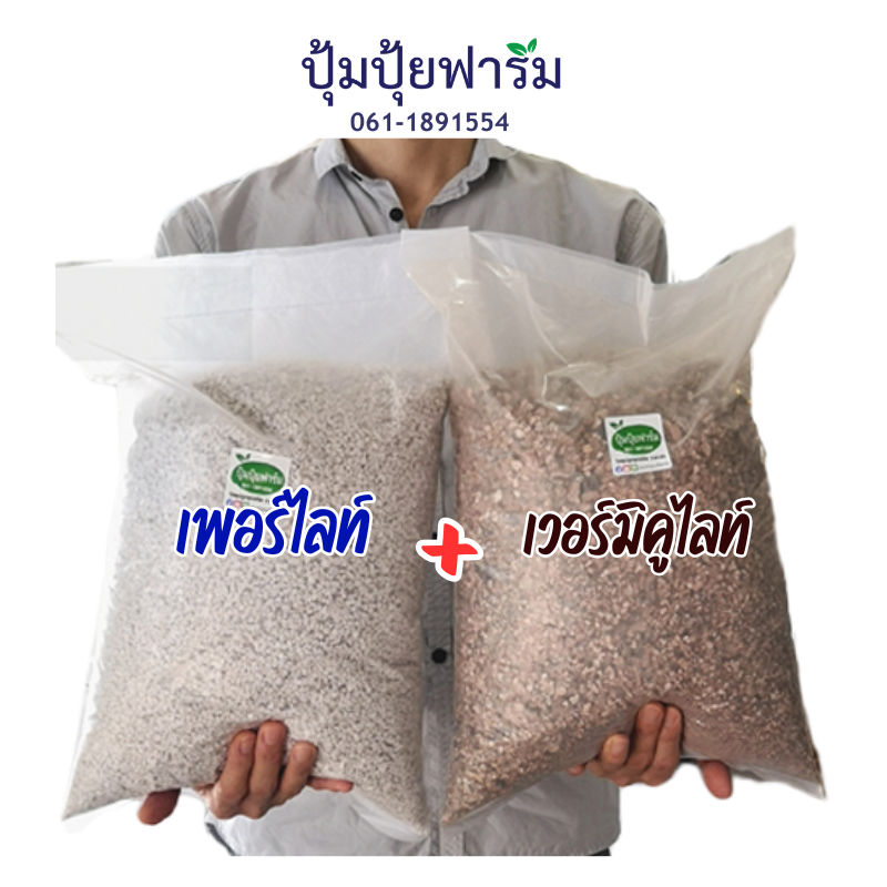 เพอร์ไลท์ Perlite(0.9 - 1กก.) + เวอร์มิคูไลท์ Vermiculite(0.9 - 1.3 kg.)