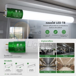 IWACHI หลอดไฟนีออนยาว LED T8 22W (ขั้วสีเขียว) หลอดไฟแบบยาว แสงสีขาว (DAYLIGHT) ยาว 120 cm.