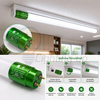 IWACHI หลอดไฟนีออนยาว LED T8 22W (ขั้วสีเขียว) หลอดไฟแบบยาว แสงสีขาว (DAYLIGHT) ยาว 120 cm.