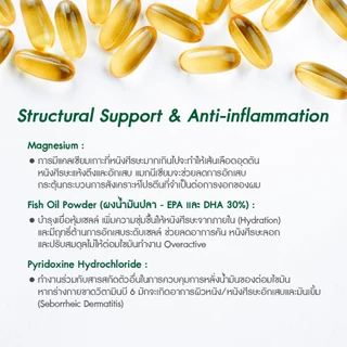 AGLAM OLESS - โอเลส วิตามิน สำหรับผมมัน ดอกอัญชัญ ชาเขียว วิตามินบี วิตามินอี 1 กระปุก 30 แคปซูล