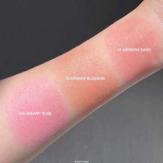 beneficial Gradation Compact Cheek Colours