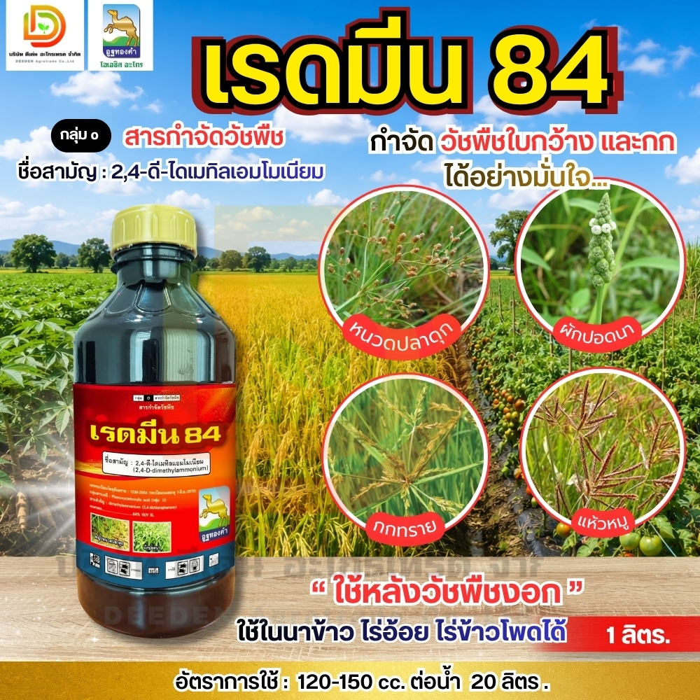 เรดมีน 84  ขนาด 1ลิตร ทูโฟดี 2,4-ดี กำจัดวัชพืช นาข้าว ไร่อ้อย ใบกว้าง ผักบุ้ง เถาเครือ กก แห้วหมู #ดีเด่นอะโกรเทรด